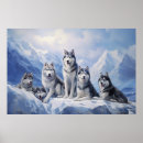 Suche nach husky poster Niedlich