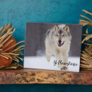 Suche nach wolf fotoplatten Natur