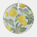 Suche nach lemon ornamente Zitrone