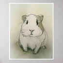 Suche nach guinea pig poster Tiere