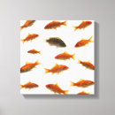 Suche nach goldfisch leinwandbilder Studioschuß