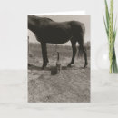 Suche nach landwirtschaftliche karten Pferd