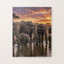 Suche nach afrikanischer elefant puzzle Elefanten