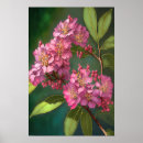 Suche nach crepe poster Blume