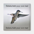 Suche nach kolibri magnete Natur