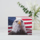 Suche nach amerikanischer adler postkarten Vogelvogel