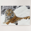 Suche nach bengalisch puzzle Wild
