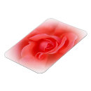 Suche nach korallen magnete Blätter