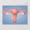 Suche nach gonade poster Medizin