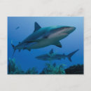 Suche nach jardines postkarten Grenze danita