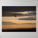 Suche nach gleiten poster Fliege
