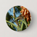 Suche nach flug buttons Kolibri
