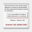 Suche nach vegan magnete Natur