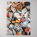 Suche nach verkauft poster Spaß