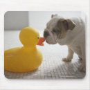 Suche nach weißer hund mousepads Horizontal
