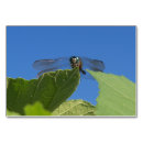 Suche nach libelle tischkarten Natur