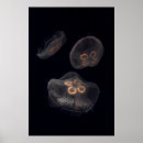 Suche nach schwimmend poster Superstock