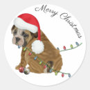 Suche nach englische bulldogge aufkleber Weihnachten