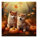 Suche nach shiba inu kunst poster Welpe
