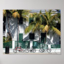 Suche nach key west poster Palmen