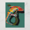 Suche nach chameleon postkarten Eidechse