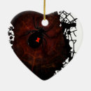 Suche nach spinne ornamente Insekt