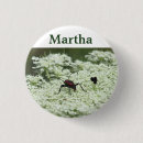 Suche nach insekten buttons Blume