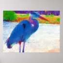 Suche nach reiher poster Blau