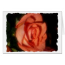Suche nach rosenkarte Blume