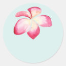 Suche nach rosa türkis aufkleber Blumenreich
