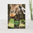 Suche nach giraffen geburtstag karten Zoo