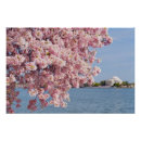 Suche nach usa poster Architektur