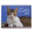 Suche nach katze kalender 2025