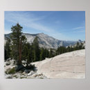 Suche nach ziffern poster Natur