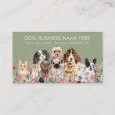 Suche nach hundegeschäft visitenkarten Tierarzt