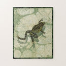 Suche nach amphibien puzzle Wasser