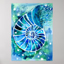 Suche nach nautilus poster Tiere