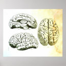 Suche nach menschliches gehirn poster Illustration