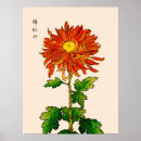 Suche nach chrysanthemen poster Vintage blume