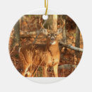 Suche nach wild lebende tiere ornamente Rotwild