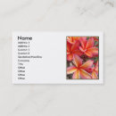 Suche nach plumeria visitenkarten Hawaii