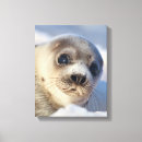 Suche nach teile poster leinwandbilder Teil von