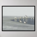 Suche nach wintervögel poster Natur