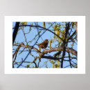 Suche nach brauner baum poster Grün