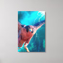 Suche nach falken leinwandbilder Wanderfalke