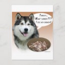 Suche nach malamute postkarten Hund