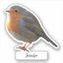 Suche nach lustige vögel aufkleber Vogelvogel