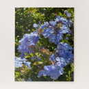 Suche nach lila blume puzzle Fotografie