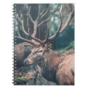 Suche nach jäger kleine notizbücher Wald