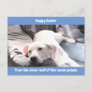Suche nach lustige ostern poster Hund